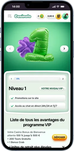 Connexion niveau 