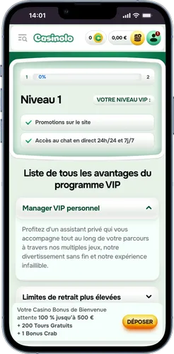 Promotion programme vip